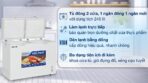 Tủ đông Hòa Phát 245 lít HPF BD6245 (2 ngăn- 2 cánh) - Ảnh 3
